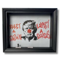 Elect a clown - Expect a Circus-2