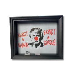 Elect a clown - Expect a Circus-1